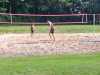 IMG-20240602-WA0010
