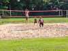 IMG-20240602-WA0019