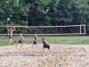 IMG-20240602-WA0068