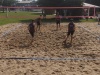 IMG_20240601_170545738_BURST001