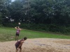 IMG_20240601_171146828