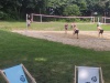 IMG_20240601_171537229