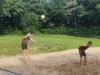 IMG_20240601_174655043_HDR