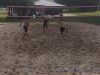 IMG_20240601_175557463
