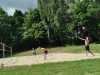 IMG-20250518-WA0012