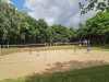 IMG-20250518-WA0019
