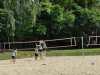 IMG-20250518-WA0056