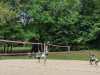 IMG-20250518-WA0062