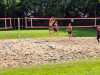 IMG-20240623-WA0014
