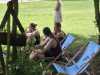 IMG-20240623-WA0029