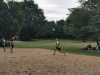 IMG-20260704-WA0017