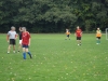 fussball-2012-4
