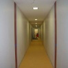 Neue Halle Teil 2